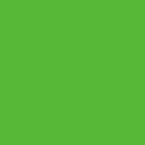 Badeanzugstoff - Badelycra UV50+ grün
